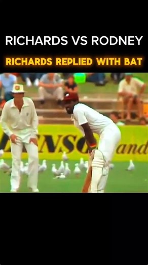 Viv Richards answer Rodney hodge with bat #youtubeshorts #cricket #cricketshorts #crickethighlights