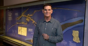 Dinosaur Train:Dinosaur Discoveries: Terrasaurus