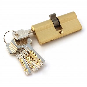 [Hot Item] Brass Cylinder Lock, Door Cylinder Lock, Computer Key Cylinder Lock