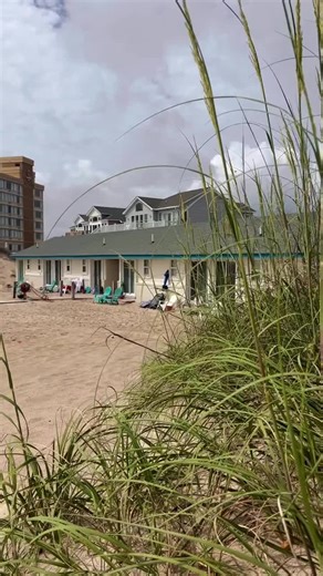 Dolphin Motel Reopening on March 28, 2025!