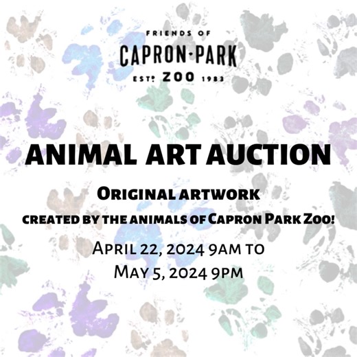 The animals have been busy creating masterpieces for the Friends of Capron Park Zoo, Inc. Animal Art Auction!! Stay tuned for more information coming soon. | Capron Park Zoo
