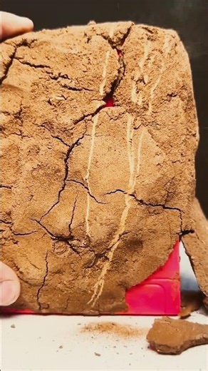 Found a mini Washing Machine 😭 #shorts #viral