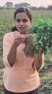 Nitrogen Fixation LIVE in Farm! NEET Biology Concept Made Easy