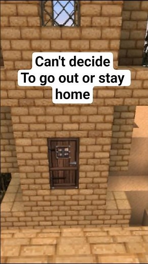 When you can't decide if you want to stay home or go out... (Minecraft Villager)