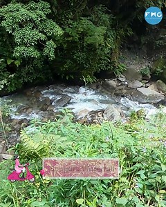 Exploring This Hidden Waterfall In Bir | Curly Tales