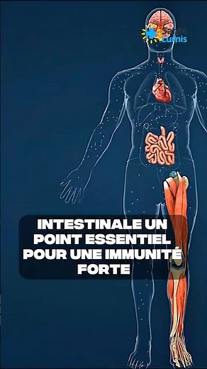 5 aliments puissants pour renforcer votre immunité