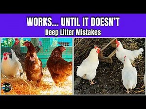 The Deep Litter Method Works… Until It Doesn’t