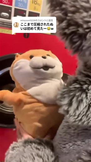 洗濯したら太って帰ってきたカップルの日常