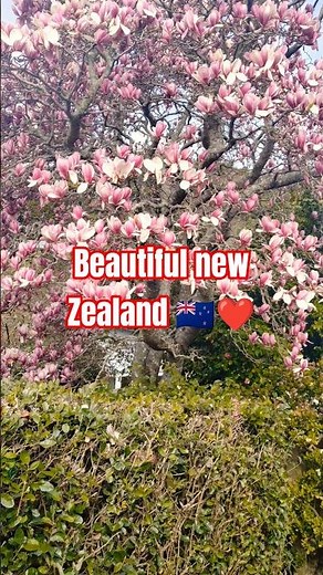 Beautiful new Zealand village Life ❤️🇳🇿😍|life in New Zealand