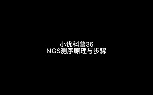 小优科普36-NGS测序原理与步骤