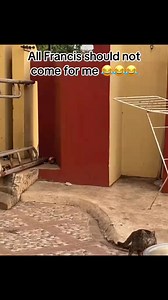 But why Frances 🤪 | Habyba media