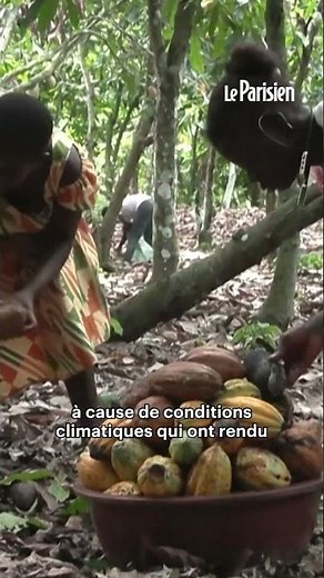 Pourquoi les chocolats de Noël Lindt sont introuvables chez Leclerc ?