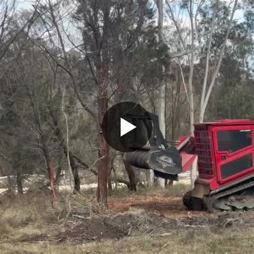 🌲 This machine eats trees alive — and I’m okay with it. Here’s why. My first reaction watching this drum mulcher video? Shock. A healthy-looking tree, gone in seconds. Literally ground into… | David Jasinski