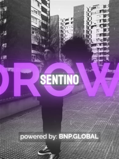 Exploring Sento: Cultural Experiences and Insights