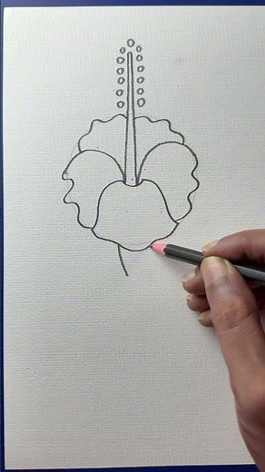Simple and easy hibiscus flower drawing with pencil