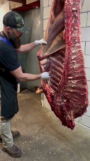 Bison Butchering: The Art of Breaking Down a Bison | Educational Video