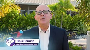 What happens when you have a successful career, but it doesn’t make you happy? Meet a woman who gave up her financial profession to train superheroes and found her true calling. Watch our latest Dogs of Destiny, “Tell-Tail Signs.” This episode of Dogs of Destiny is brought to you with grateful recognition of Gym for Dogs for their generous partnership. Click here for descriptive video for the visually impaired: https://vimeo.com/633016883/49c4bad870 | Dogs Inc