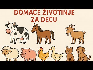 UČIMO DOMAĆE ŽIVOTINJE (Edukativni video za decu) #DomaćeŽivotinjeZaDecu
