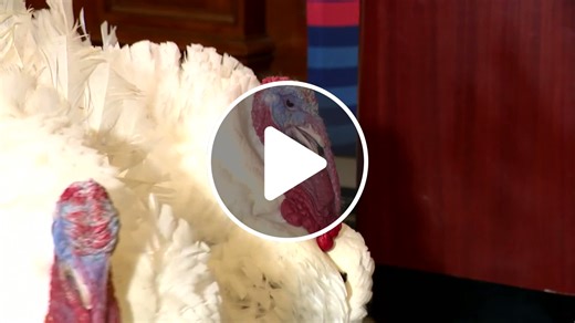 Fairfax County police stepping up patrols - NewsBreak