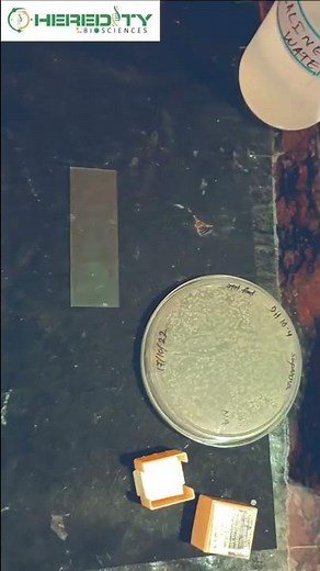 Tests for Bacterial Motility: Procedure, Results