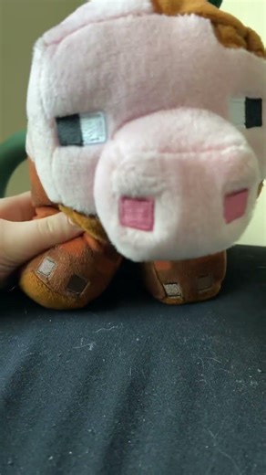 I don’t really use these plushy’s so I use them for a video