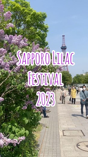 Visit Sapporo | Sapporo Lilac Festival When: May 17th - 28th Where: Odori Park 5-7 Chome /Kawashimo Park ( 27th-28th) To celebrate the flower tree of... | Instagram