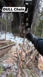 25K views · 239 reactions | Logging  | Logger Mack | Facebook