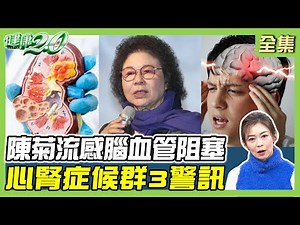 陳菊流感又左腦血管阻塞!港星心血管栓塞.日洗腎4次病逝 心腎症候群3警訊!冬養生重補腎 心腎虛1穴位向陽補腎氣! 健康2.0 20250119【完整版】鄭凱云 袁明琦 陳建良 鄒瑋倫 洪素卿 陸巧因