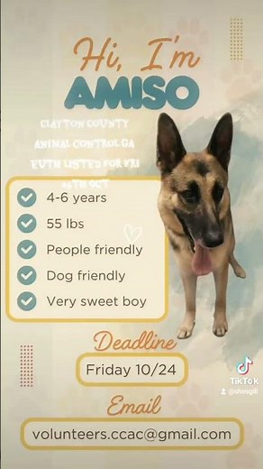 48 hours to save! email Volunteers.ccac@gmail.com for info, adopt or foster