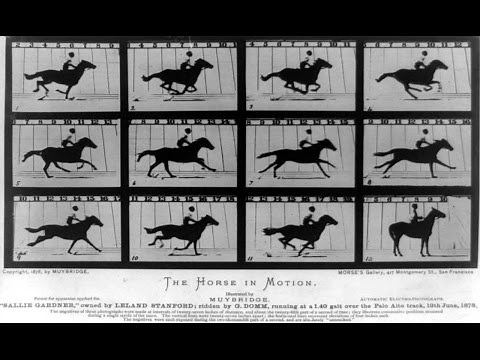 The Weird World of Eadweard Muybridge