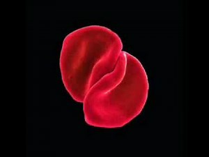 Peter gabriel - The Power of your heart.flv