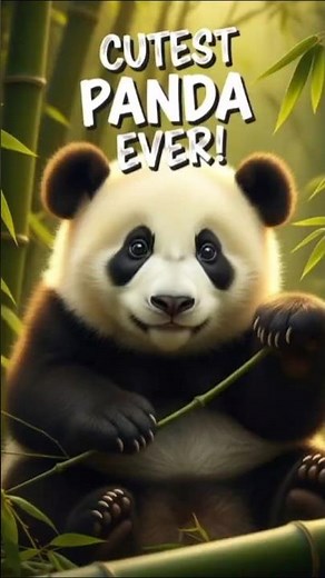 The Adorable Mini Panda You Can’t Stop Watching 🐼🥰