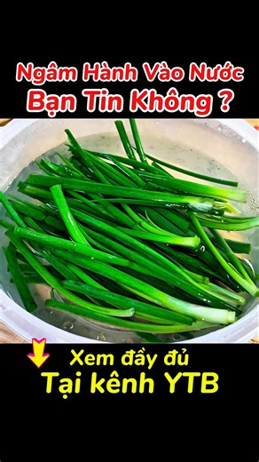 🔥 How to Preserve Fresh Green Onions by Soaking Them in Water #shorts #preservinggreens #usefulti...