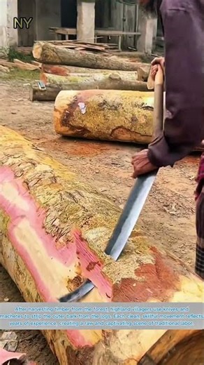 Highland Villagers Peeling Logs by Hand: Simple Work, Incredibly Satisfying.
