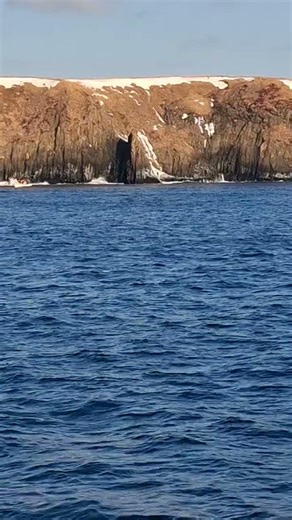 14 февраля 2026 г.