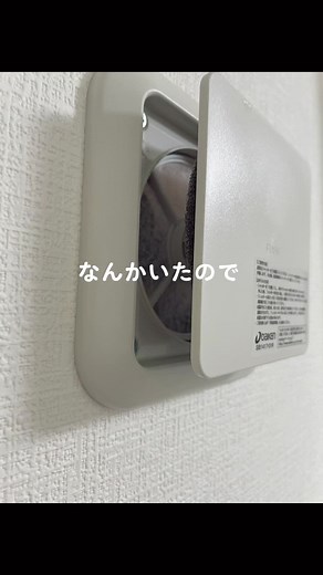 コウモリの出没!家の換気口での対処法と撃退スプレーについて