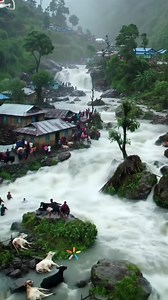 181K views · 1.5K reactions | ️Despite the people struggling to live due to the heavy rainfall, the scene in the video is truly heartwarming | World Weather | Facebook