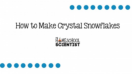 Add some *sparkle* to your science with this fun and super-easy recipe for crystal snowflakes. Full instructions are here - https://thehomeschoolscientist.com/how-to-make-crystal-snowflakes-from-borax/ | The Homeschool Scientist