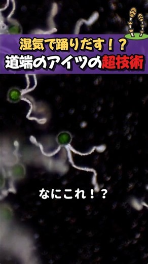 湿気で踊りだす！？道端のアイツの超技術 #ほっこりショート #スギナ #胞子 #顕微鏡の世界 #理科好きと繋がりたい