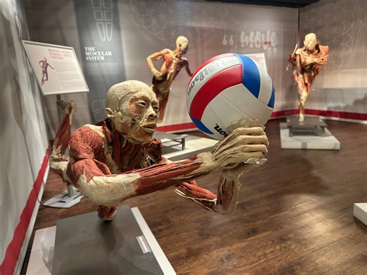 ‘From the inside out,’ Real Bodies goes under the skin for heartfelt Las Vegas cause