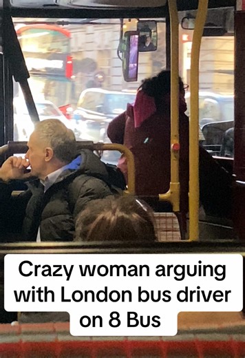 Argument Between Woman and London Bus Driver
