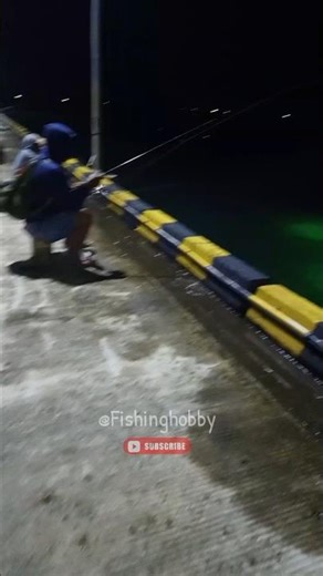 strike ribbonfish from the sea #fishing #fish #ribbonfish #fyp