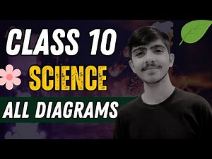 Class 10 ALL DIAGRAMS in one video | Class 10 Biology | Life processes | All diagrams 🔥