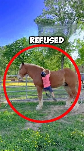Small Girl vs. Giant Horse! 🐴💪