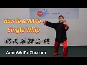 Yang-Style Tai Chi — From Grasp the Bird’s Tail to Single Whip | 楊式老架 攬雀尾接單鞭動作要領