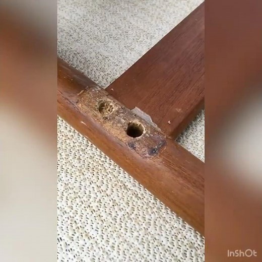 How to remove a broken dowel #shorts #diy #carpenter