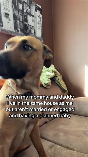 Navigating Unconventional Family Dynamics