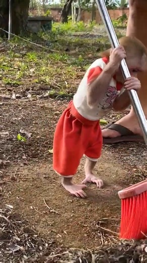 Bibi helps Dad sweep the trash #monkeybibi #bibi | Bibi Jumps