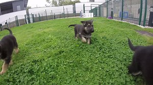 36K views · 1.5K reactions | Happy Valentine's Day - Enjoy a Guide...