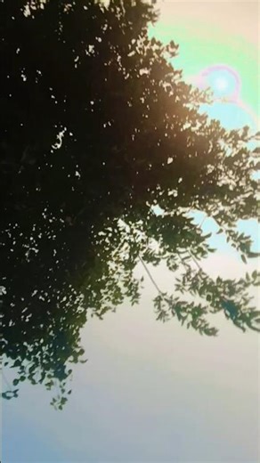 #kari le Supriya ham ao Bhagwan ke toke banale bare kon miti san ke#